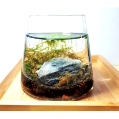 5微宇宙1號