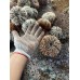 澎湖海膽一斤4盒2200元